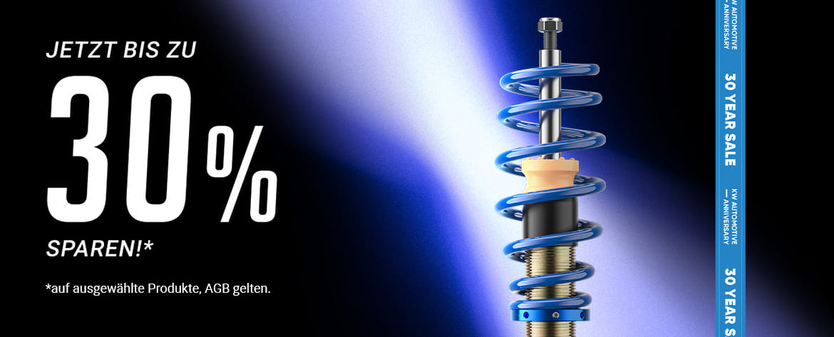 ap Sales Aktion 2025